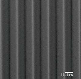 Standard Prism
